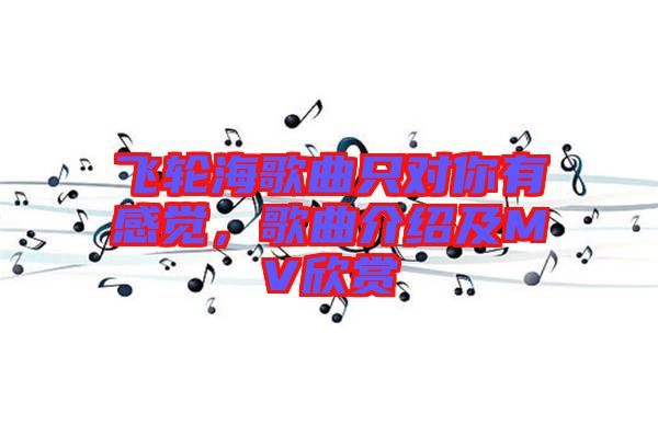 飛輪海歌曲只對你有感覺，歌曲介紹及MV欣賞