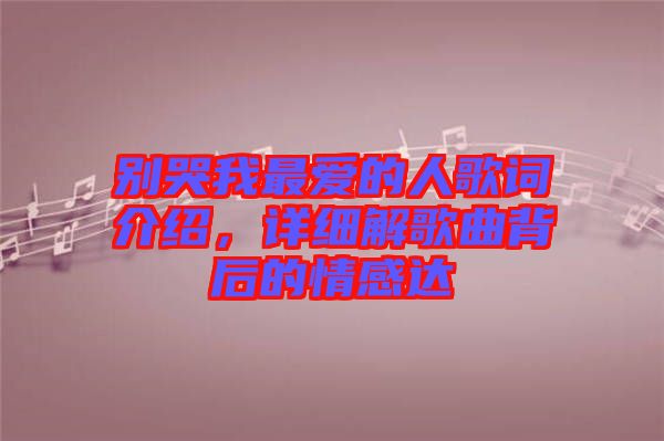 別哭我最愛的人歌詞介紹，詳細(xì)解歌曲背后的情感達(dá)