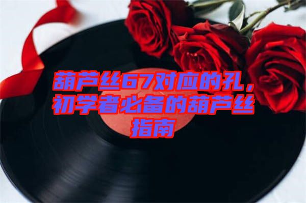葫蘆絲67對應(yīng)的孔，初學(xué)者必備的葫蘆絲指南