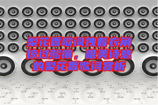 梨花香歌詞拽著衣角掠過熙攘，唯美詩意的梨花香歌詞賞析