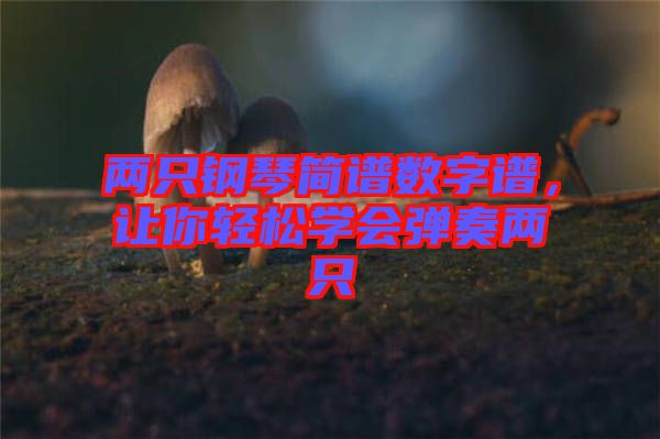 兩只鋼琴簡譜數(shù)字譜，讓你輕松學(xué)會彈奏兩只