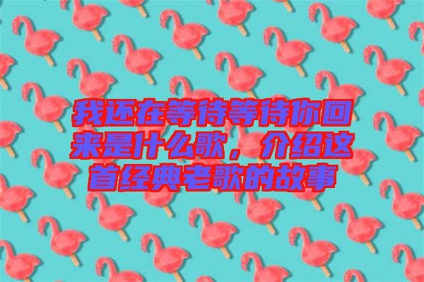 我還在等待等待你回來是什么歌，介紹這首經(jīng)典老歌的故事