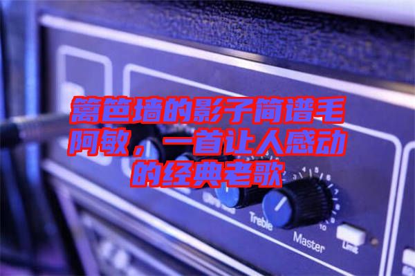 籬笆墻的影子簡譜毛阿敏，一首讓人感動的經(jīng)典老歌