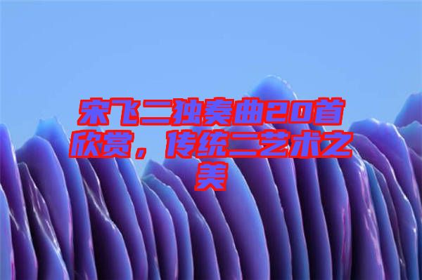 宋飛二獨奏曲20首欣賞，傳統(tǒng)二藝術(shù)之美