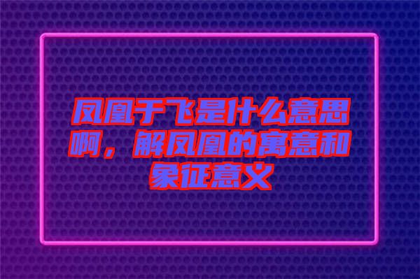 鳳凰于飛是什么意思啊，解鳳凰的寓意和象征意義