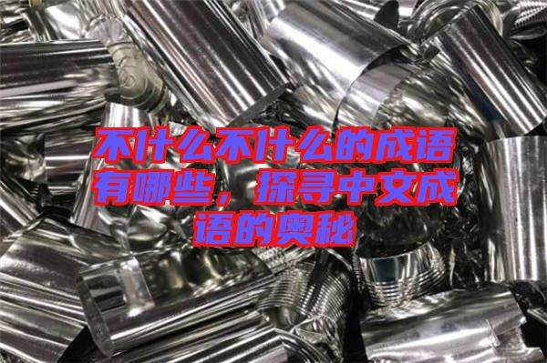 不什么不什么的成語(yǔ)有哪些，探尋中文成語(yǔ)的奧秘