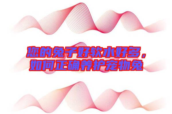 您的兔子好軟水好多，如何正確養(yǎng)護(hù)寵物兔