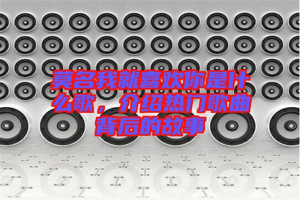 莫名我就喜歡你是什么歌，介紹熱門歌曲背后的故事