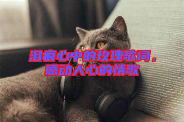 淚痕心中的玫瑰歌詞，感動人心的情歌