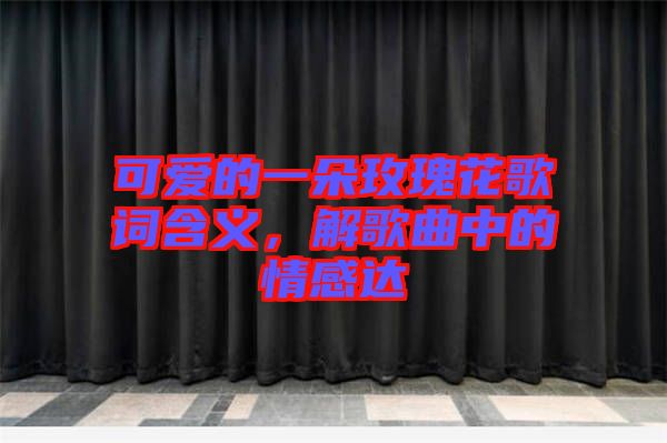 可愛的一朵玫瑰花歌詞含義，解歌曲中的情感達