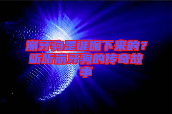 崩牙駒是誰保下來的？聽聽崩牙駒的傳奇故事