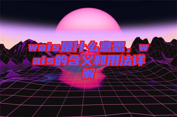 wais是什么意思，wais的含義和用法詳解