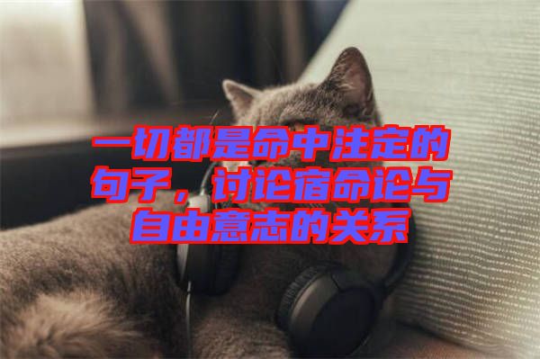 一切都是命中注定的句子，討論宿命論與自由意志的關(guān)系
