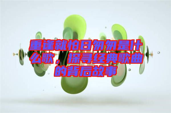 重逢就怕日匆匆是什么歌，探尋經(jīng)典歌曲的背后故事