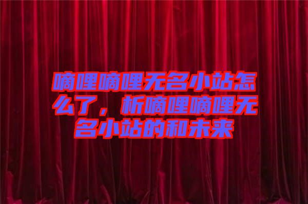 嘀哩嘀哩無名小站怎么了，析嘀哩嘀哩無名小站的和未來
