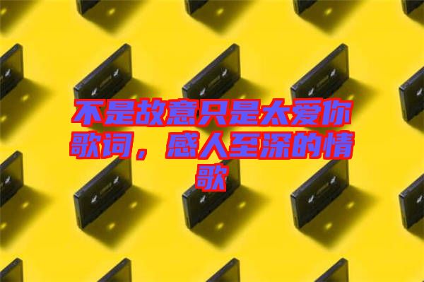 不是故意只是太愛你歌詞，感人至深的情歌
