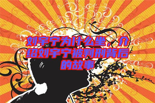 劉宇寧為什么坐，介紹劉宇寧被判刑背后的故事