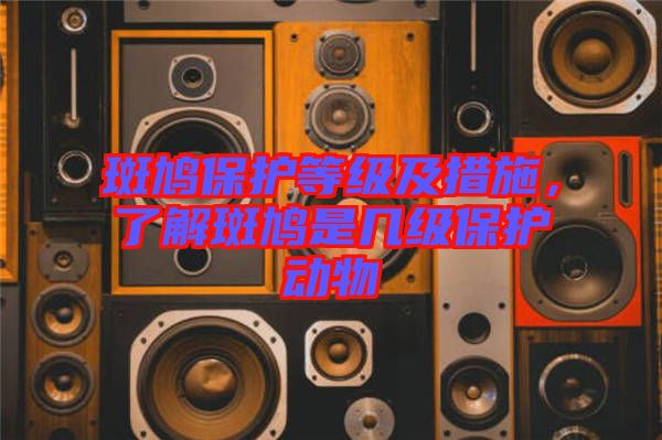斑鳩保護等級及措施，了解斑鳩是幾級保護動物