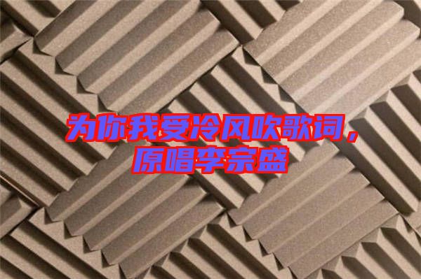 為你我受冷風吹歌詞，原唱李宗盛