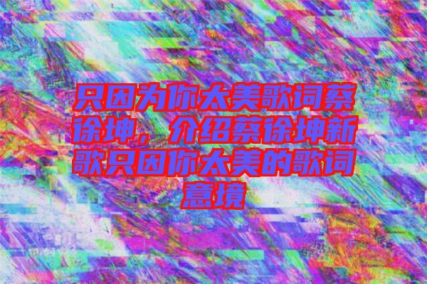 只因為你太美歌詞蔡徐坤，介紹蔡徐坤新歌只因你太美的歌詞意境