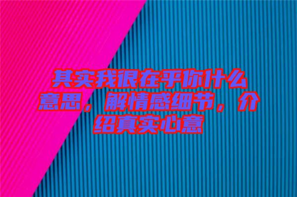其實(shí)我很在乎你什么意思，解情感細(xì)節(jié)，介紹真實(shí)心意