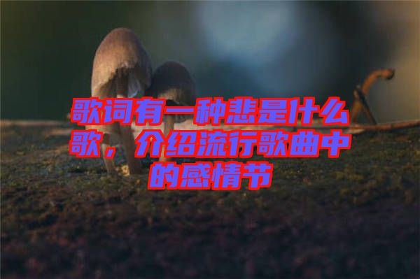歌詞有一種悲是什么歌，介紹流行歌曲中的感情節(jié)