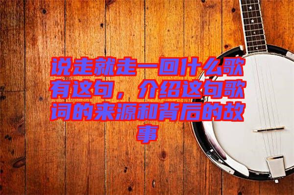 說走就走一回什么歌有這句，介紹這句歌詞的來源和背后的故事