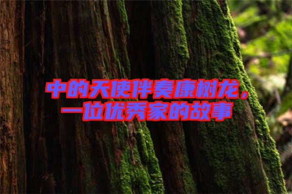 中的天使伴奏康樹龍，一位優(yōu)秀家的故事