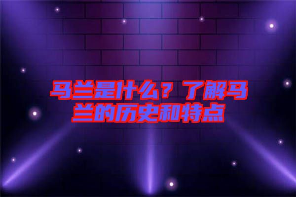馬蘭是什么？了解馬蘭的歷史和特點(diǎn)