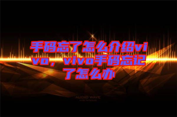 手碼忘了怎么介紹vivo，vivo手碼忘記了怎么辦