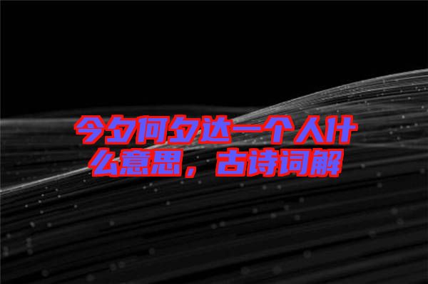今夕何夕達(dá)一個人什么意思，古詩詞解