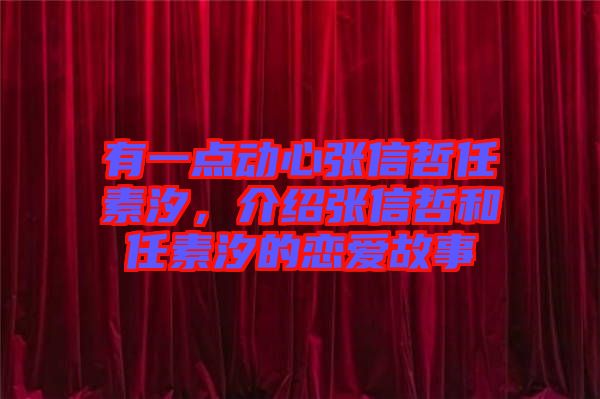有一點(diǎn)動(dòng)心張信哲任素汐，介紹張信哲和任素汐的戀愛故事