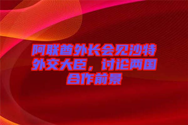阿聯(lián)酋外長會見沙特外交大臣，討論兩國合作前景