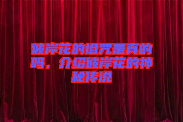 彼岸花的詛咒是真的嗎，介紹彼岸花的神秘傳說