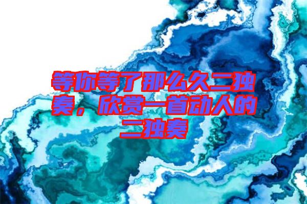 等你等了那么久二獨(dú)奏，欣賞一首動(dòng)人的二獨(dú)奏