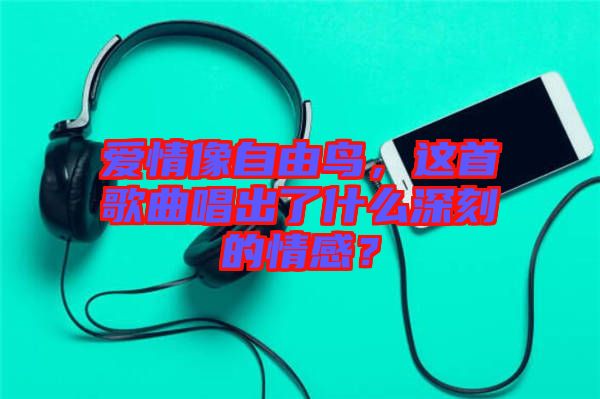 愛情像自由鳥，這首歌曲唱出了什么深刻的情感？