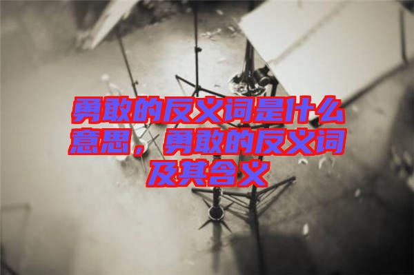 勇敢的反義詞是什么意思，勇敢的反義詞及其含義
