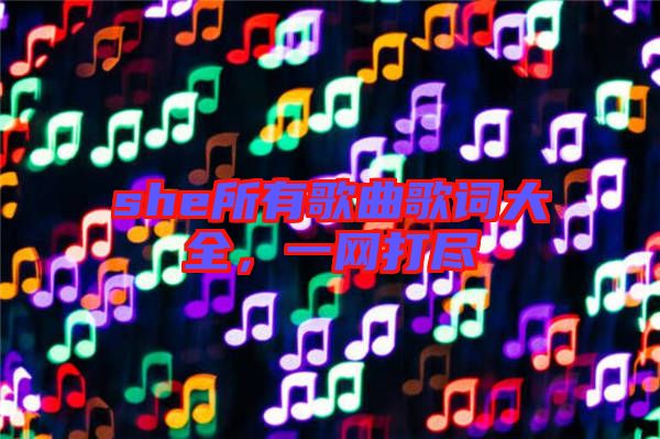 she所有歌曲歌詞大全，一網(wǎng)打盡