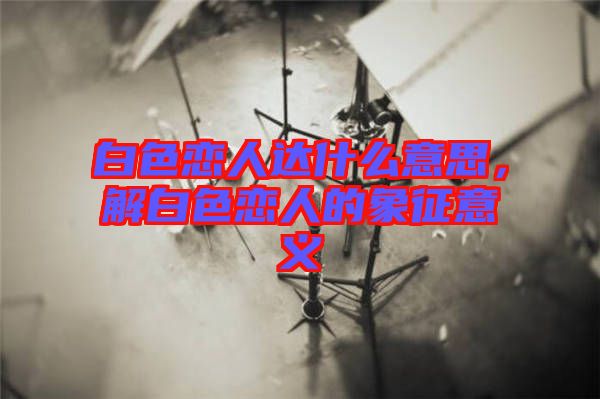 白色戀人達什么意思，解白色戀人的象征意義