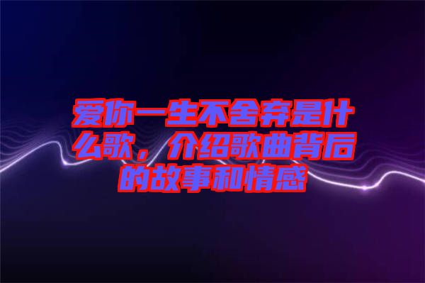 愛(ài)你一生不舍棄是什么歌，介紹歌曲背后的故事和情感