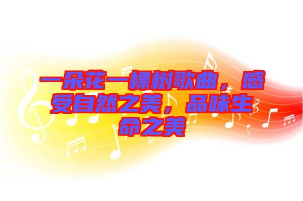一朵花一棵樹歌曲，感受自然之美，品味生命之美