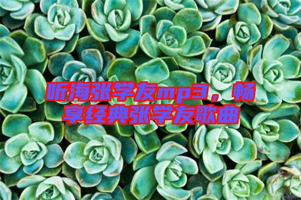聽海張學(xué)友mp3，暢享經(jīng)典張學(xué)友歌曲