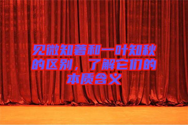 見微知著和一葉知秋的區(qū)別，了解它們的本質(zhì)含義