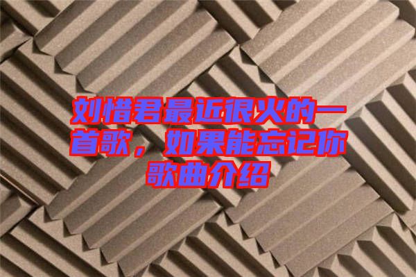 劉惜君最近很火的一首歌，如果能忘記你歌曲介紹