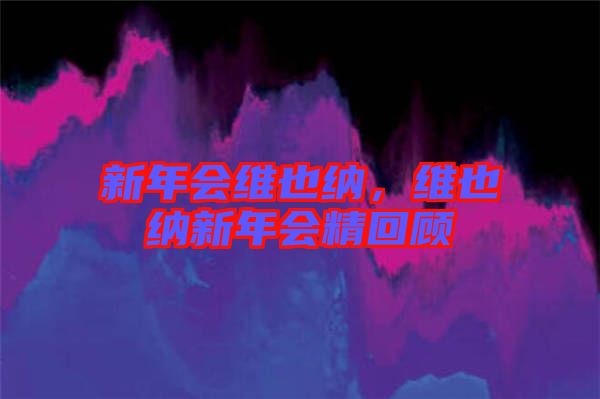 新年會維也納，維也納新年會精回顧