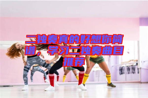 二獨(dú)奏真的好想你簡(jiǎn)譜，學(xué)習(xí)二獨(dú)奏曲目推薦