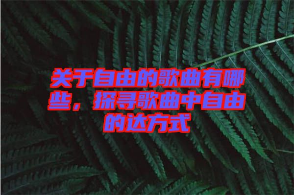 關于自由的歌曲有哪些，探尋歌曲中自由的達方式