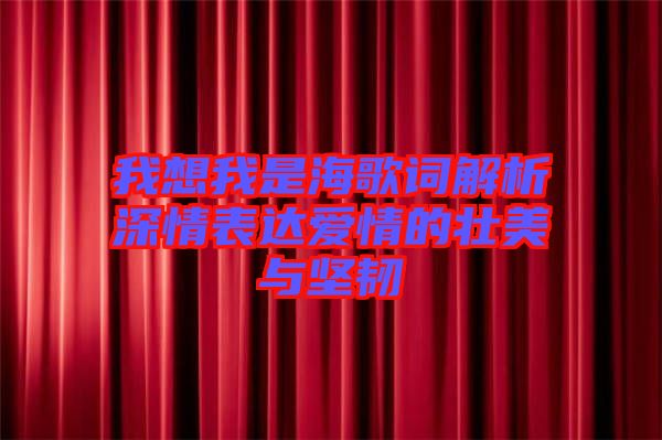 我想我是海歌詞解析深情表達(dá)愛(ài)情的壯美與堅(jiān)韌