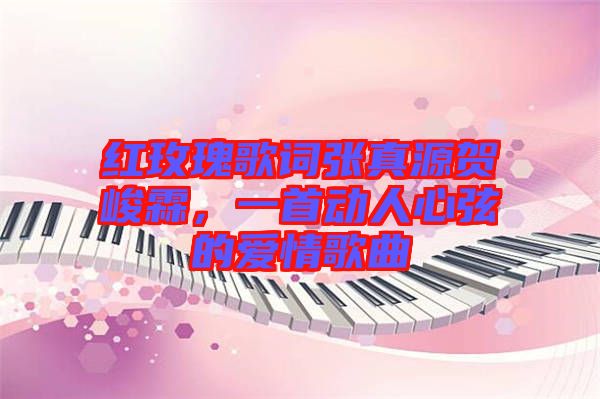 紅玫瑰歌詞張真源賀峻霖，一首動人心弦的愛情歌曲