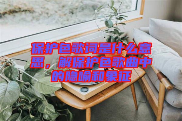 保護(hù)色歌詞是什么意思，解保護(hù)色歌曲中的隱喻和象征